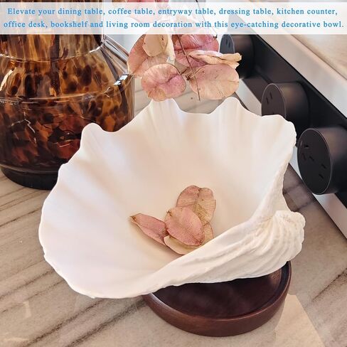 Resin Seashell Decorative Bowl for Home Decor, Large Clam Shell Bowl for Coffee Table Centerpiece Kitchen Counter, Sea Shell Key Bowl for Entryway Table (Beige) in Saudi Arabia