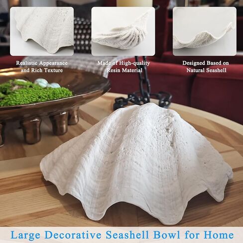 Resin Seashell Decorative Bowl for Home Decor, Large Clam Shell Bowl for Coffee Table Centerpiece Kitchen Counter, Sea Shell Key Bowl for Entryway Table (Beige) in Saudi Arabia