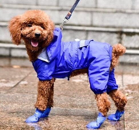 Silicone Pet Rain Boots Anti Dirty Anti Slip Waterproof pet Boots Small Dog Teddy rain Shoes (Black, Small) in Saudi Arabia