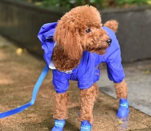 Silicone Pet Rain Boots Anti Dirty Anti Slip Waterproof pet Boots Small Dog Teddy rain Shoes (Black, Small) in Saudi Arabia