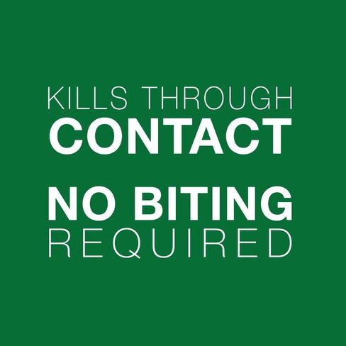 باير أنيمال هيلث أدفانتج II للكلاب الكبيرة جدًا 6 عبوات in Kuwait