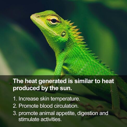 REPTI ZOO Reptile Basking Heat Lamp Bulb, 100W Splashproof Energy Saving Deep Heater Non-Luminous Carbon Infrared Heat Bulb for Reptile Amphibians in Saudi Arabia