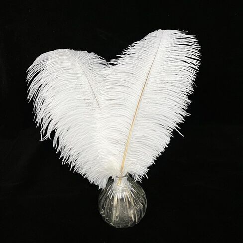 Happy Feather Natural Ostrich Feathers Centerpiece 14-16 inch for Wedding Home Party Decoration, DIY Craft-White- Pack of 10 in Saudi Arabia