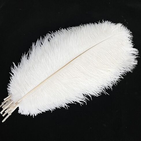 Happy Feather Natural Ostrich Feathers Centerpiece 14-16 inch for Wedding Home Party Decoration, DIY Craft-White- Pack of 10 in Saudi Arabia