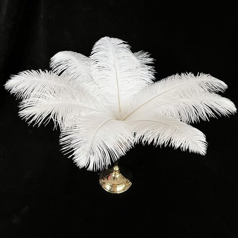 Happy Feather Natural Ostrich Feathers Centerpiece 14-16 inch for Wedding Home Party Decoration, DIY Craft-White- Pack of 10 in Saudi Arabia