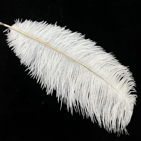 Happy Feather Natural Ostrich Feathers Centerpiece 14-16 inch for Wedding Home Party Decoration, DIY Craft-White- Pack of 10 in Saudi Arabia