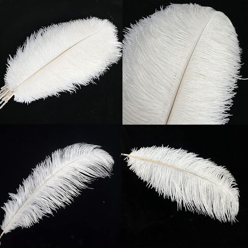 Happy Feather Natural Ostrich Feathers Centerpiece 14-16 inch for Wedding Home Party Decoration, DIY Craft-White- Pack of 10 in Saudi Arabia
