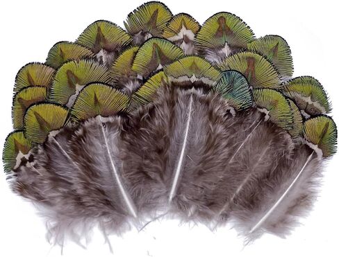 LWINGFLYER 100PCS Gold Green Peacock Pheasant Plumage 2-3 inch Small Natural Feathers for Craft Dream Catchers in Kuwait