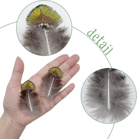 LWINGFLYER 100PCS Gold Green Peacock Pheasant Plumage 2-3 inch Small Natural Feathers for Craft Dream Catchers in Kuwait