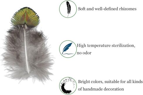 LWINGFLYER 100PCS Gold Green Peacock Pheasant Plumage 2-3 inch Small Natural Feathers for Craft Dream Catchers in Kuwait