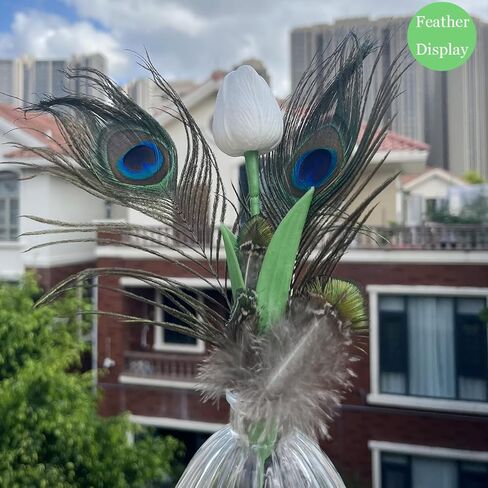 LWINGFLYER 100PCS Gold Green Peacock Pheasant Plumage 2-3 inch Small Natural Feathers for Craft Dream Catchers in Kuwait