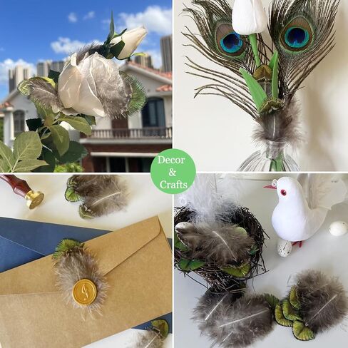 LWINGFLYER 100PCS Gold Green Peacock Pheasant Plumage 2-3 inch Small Natural Feathers for Craft Dream Catchers in Kuwait
