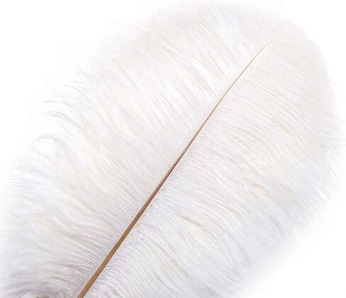 10pcs Natural Ostrich Feathers Plume 16-18inch(40-45cm) for Wedding Centerpieces Home Decoration (40-45cm,Red) in Saudi Arabia