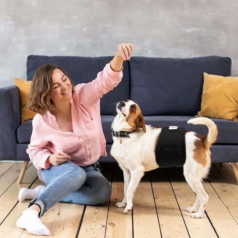 Washable Belly Band for Male Dogs,Pack of 3 High Absorbing Male Dog Diapers & Adjustable Strap Reusable Male Puppy Wraps for Small Dogs U-DM04S in Kuwait