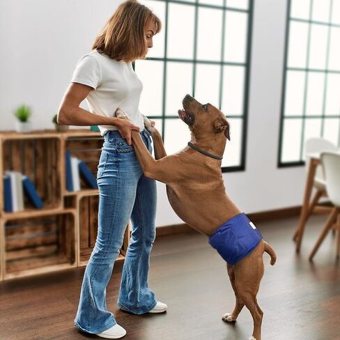 Washable Belly Band for Male Dogs,Pack of 3 High Absorbing Male Dog Diapers & Adjustable Strap Reusable Male Puppy Wraps for Small Dogs U-DM04S in Kuwait