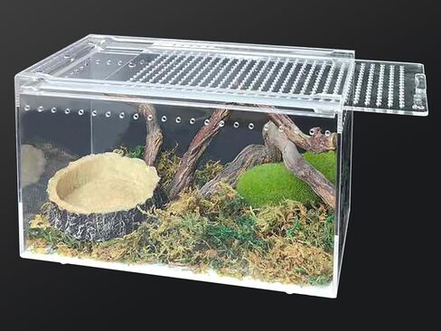 الزواحف تررم الضميمة 12 "× 8" × 6 "أكريليك الرتيلاء صندوق تربية المغناطيسي الناسك السلطعون الموئل خزان شفاف القفز العنكبوت قفص لسحلية حبال Isopods مقرن الضفدع ثعبان أبو بريص in Kuwait