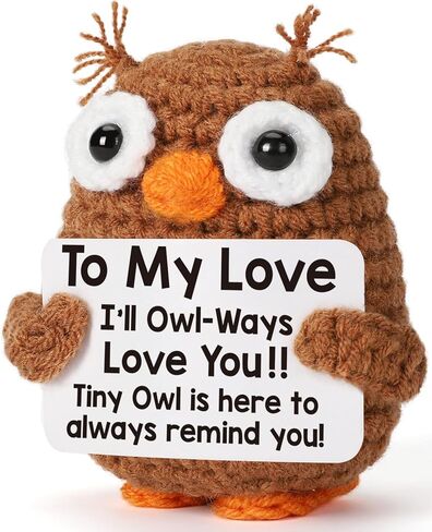 Fathers Day Father Gifts for Dad Husband from Daughter Wife Son, Graduation Birthday Teacher Appreciation Gifts Stepdad Fathers Day for Papa Bonus Dad Grandpa, Handmade Positive Crochet Owl in Kuwait