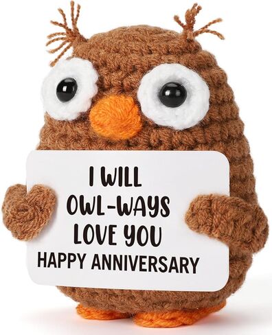 Fathers Day Father Gifts for Dad Husband from Daughter Wife Son, Graduation Birthday Teacher Appreciation Gifts Stepdad Fathers Day for Papa Bonus Dad Grandpa, Handmade Positive Crochet Owl in Kuwait