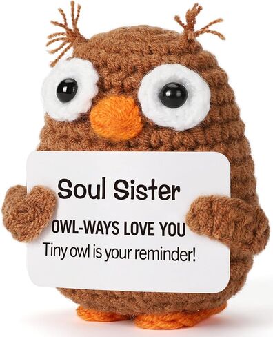 Fathers Day Father Gifts for Dad Husband from Daughter Wife Son, Graduation Birthday Teacher Appreciation Gifts Stepdad Fathers Day for Papa Bonus Dad Grandpa, Handmade Positive Crochet Owl in Kuwait