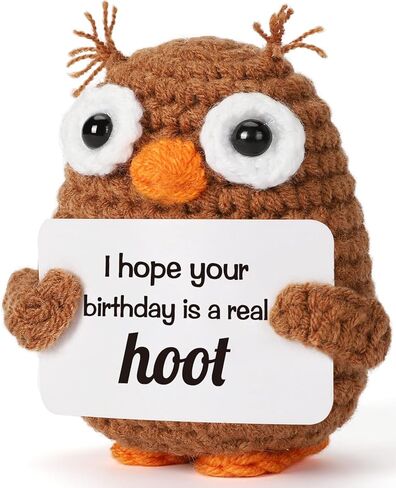 Fathers Day Father Gifts for Dad Husband from Daughter Wife Son, Graduation Birthday Teacher Appreciation Gifts Stepdad Fathers Day for Papa Bonus Dad Grandpa, Handmade Positive Crochet Owl in Kuwait