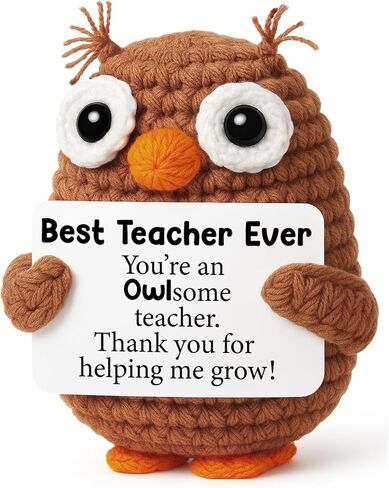 Fathers Day Father Gifts for Dad Husband from Daughter Wife Son, Graduation Birthday Teacher Appreciation Gifts Stepdad Fathers Day for Papa Bonus Dad Grandpa, Handmade Positive Crochet Owl in Kuwait