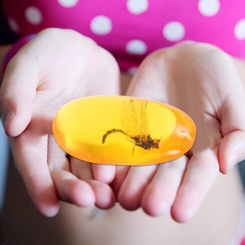 3 قطع من TOPPERFUN لعينة الحشرات الكهرمانية، زينة فريدة من نوعها من الراتنج اليعسوب للديكور ومجموعة زينة الحشرات المذهلة، قطعة عرض الأنسجة الطبيعية in Kuwait