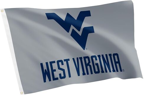 علم جامعة فرجينيا الغربية بصبار الصحراء - لافتة متسلقي الجبال WVU مقاس 3 × 5 أقدام، عرض قماشي متين للاستخدام الداخلي/الخارجي (النمط C1) in Kuwait