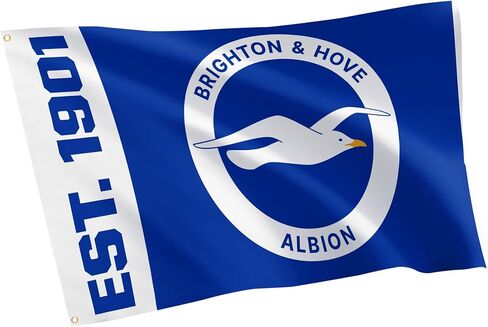 صبار الصحراء برايتون وهوف ألبيون علم BHAFC Seagulls 100% بوليستر للاستخدام الداخلي والخارجي 3 × 5 أقدام معدات مرخصة رسميًا (التصميم A) in Saudi Arabia