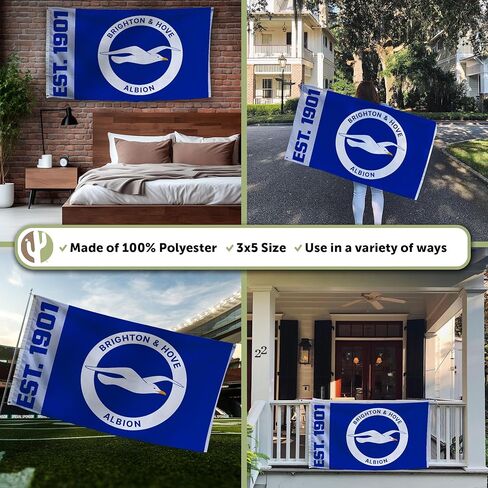 صبار الصحراء برايتون وهوف ألبيون علم BHAFC Seagulls 100% بوليستر للاستخدام الداخلي والخارجي 3 × 5 أقدام معدات مرخصة رسميًا (التصميم A) in Saudi Arabia