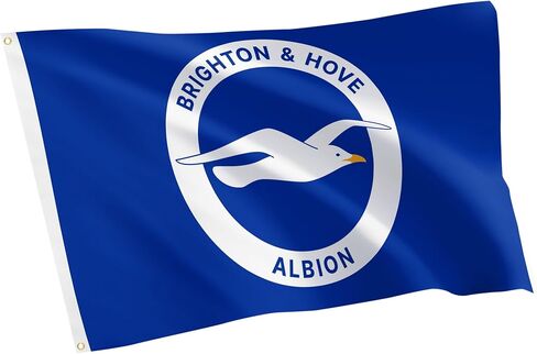 Desert Cactus Brighton & Hove Albion Flag BHAFC Seagulls 100% Polyester Indoor Outdoor 3x5 feet Officially Licensed Gear (Design B) in Saudi Arabia