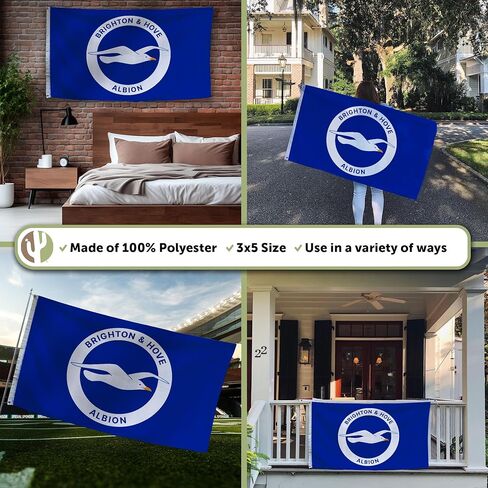 Desert Cactus Brighton & Hove Albion Flag BHAFC Seagulls 100% Polyester Indoor Outdoor 3x5 feet Officially Licensed Gear (Design B) in Saudi Arabia