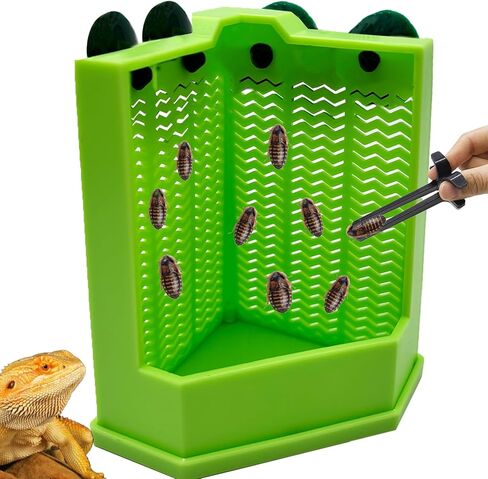 Chameleon Feeder Bearded Dragon Feeder Box Reptile Feeder Cricket Feeder with Suction Cup, Wall Mounted Insect Feeder, Tank Accessories for Lizard, Iguana, Gecko, Frog (Medium) in Kuwait