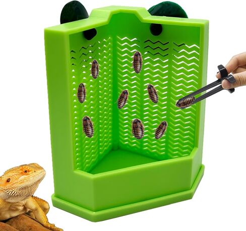Bearded Dragon Feeder Chameleon Feeder for Mounted Insect (Medium) | Plastic,Anti-Escape,Corner,Crested Gecko Tank Accessories,with Rope Suction Cup and Tweezers,for Lizard Gecko Frog in Saudi Arabia
