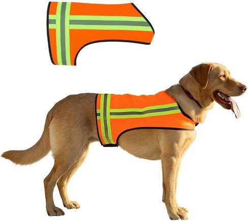 Reflective Dog Vest – Fluorescent Orange | High-Visibility, Water-Resistant Safety Jacket with Adjustable Fit for Day & Night Walks, Hiking, Hunting, and Outdoor Use (Large) in Saudi Arabia
