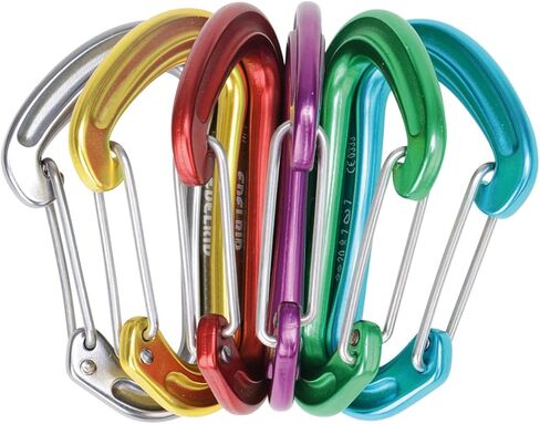 EDELRID Nineteen G Carabiner in Saudi Arabia