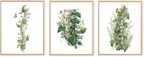 Boat Wades Medical Human Anatomy Unframed Wall Art Prints,Floral Nursing Doctor Posters & Prints For Medical Office Med Student Dorm Room Decor, Floral Anatomy Wall Art Prints 8x10 Set Of 3 in Saudi Arabia