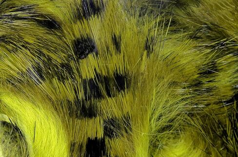 Hareline Magnum Tiger Barred Strips #14 Black Barred Chartreuse Over Fl Yellow in Saudi Arabia