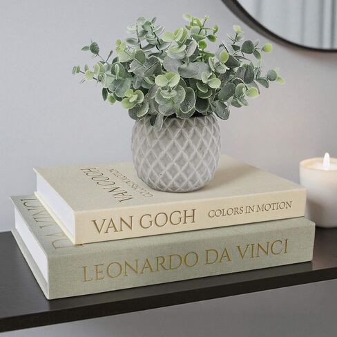 Decorative Linen Book Set of 2, Faux Book Storage Box, Coffee Table and Bookshelf Decor in Kuwait