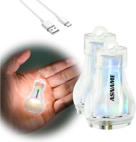 Mini Lantern LED Flashlight, Small Keychain Flashlight Rechargeable USB, Waterproof Pocket Purse Light with Magnetic for Camping Nighttime, EDC Gear Tools Keychian Light (White-2Pcs) in Saudi Arabia