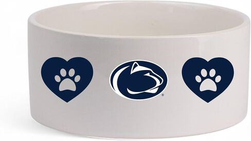 The Memory Company | Licensed NCAA Team Color Ceramic Pet Bowl in Saudi Arabia