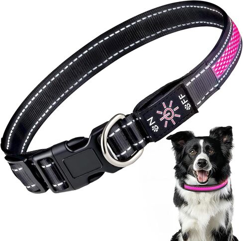 LED Light Up Dog Collar: Rechargeable Waterproof Safety Collars for Dogs During Night Walking - Glow in The Dark Lights for Pet Flashing Gear - Best Glowing Neon Lighted USB Accessories at Nite Time in Saudi Arabia