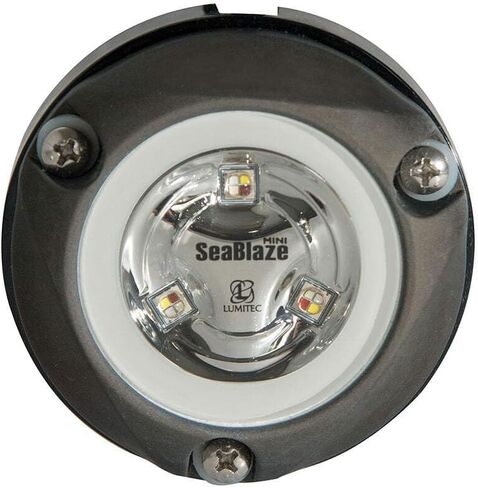 Mini LED Underwater Light, Surface Mount, Zambezi in Kuwait