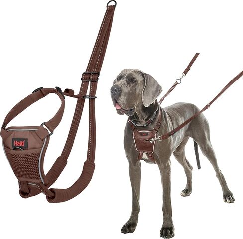 No Pull Harness - to Stop Your Dog Pulling on The Leash. Adjustable, Lightweight and Easy to Use. Reflective Dog Training Harness for Small Dogs (Size S, Burnt Orange) in Saudi Arabia
