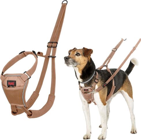 No Pull Harness - to Stop Your Dog Pulling on The Leash. Adjustable, Lightweight and Easy to Use. Reflective Dog Training Harness for Small Dogs (Size S, Burnt Orange) in Saudi Arabia