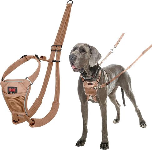 No Pull Harness - to Stop Your Dog Pulling on The Leash. Adjustable, Lightweight and Easy to Use. Reflective Dog Training Harness for Small Dogs (Size S, Burnt Orange) in Saudi Arabia