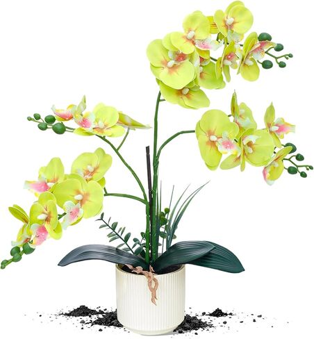 ucky Butterfly Orchid Bonsai، 21 بوصة زهور صناعية بيضاء، زهور بلاستيكية واقعية زهور وهمية، لتزيين طاولة المنزل والخزانة، زهور ديكور الحفلات والزفاف in Kuwait