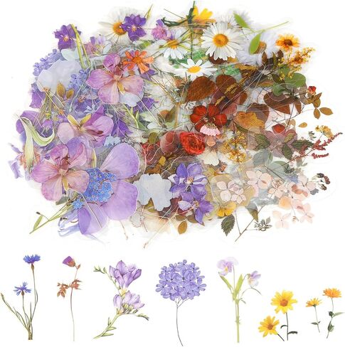 320 Pcs Pressed Flower Stickers Transparent Flower Sticker for Scrapbooking Decorative Floral Scrapbook Stickers Wildflower Botanical Journaling Sticker Decals for Journaling Junk Journal Supplies in Saudi Arabia
