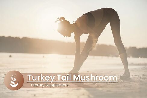PURE ORIGINAL INGREDIENTS Turkey Tail Mushroom (730 Capsules) No Magnesium Or Rice Fillers, Always Pure, Lab Verified in Saudi Arabia