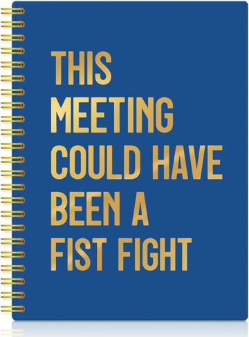XQLZY This Meeting Could Have Been A Fist Fight Spiral Notebook, Funny Corporate Humor Notepad, Office Sarcastic Humor Gifts for Men Women Coworker Work Bestie Friend, Coworker Christmas Gifts in Saudi Arabia