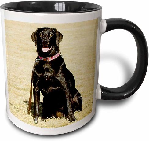 3dRose 3dRose Labrador Retriever - كوب أسود بلونين، 11oz، أسود/أبيض in Saudi Arabia
